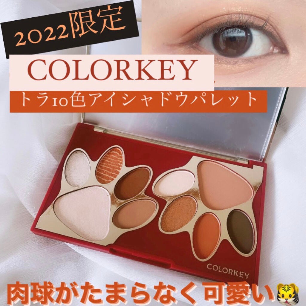 トラ十色アイシャドウパレット/COLORKEY/アイシャドウパレットを使ったクチコミ(1枚目)