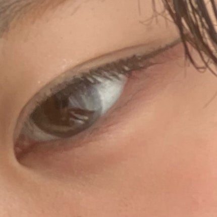 ラッシュオン 03 SWEET(スウィート)/D-UP/つけまつげの画像