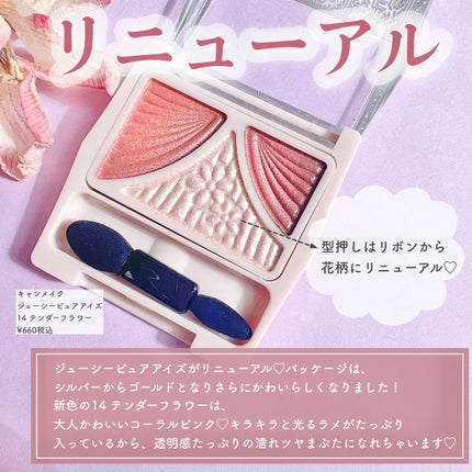 ジューシーピュアアイズ/キャンメイク/アイシャドウパレットを使ったクチコミ(2枚目)