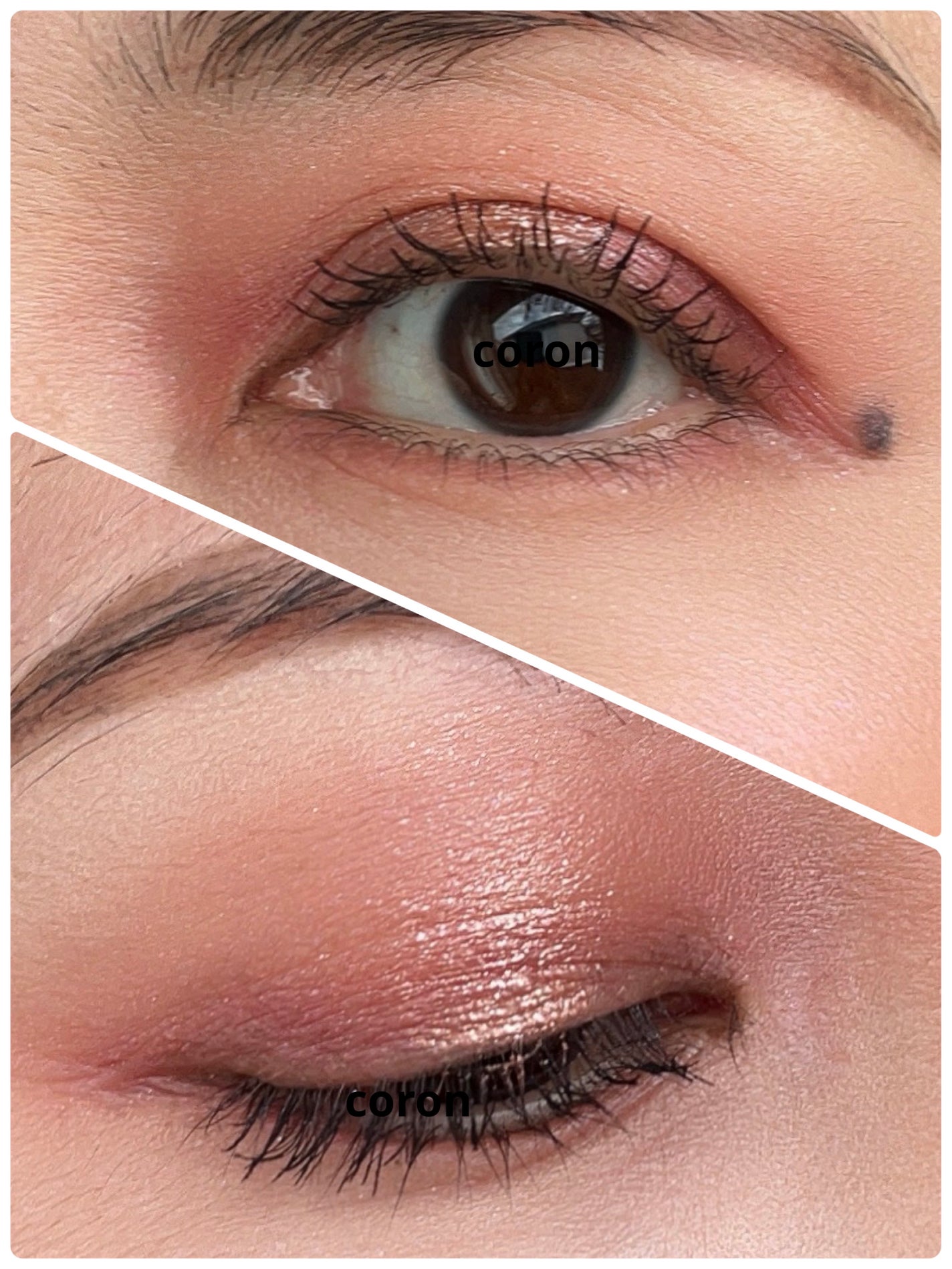 20th アニバーサリー アイ&ブラッシュ コンパクト/SUQQU/アイシャドウパレットを使ったクチコミ(2枚目)