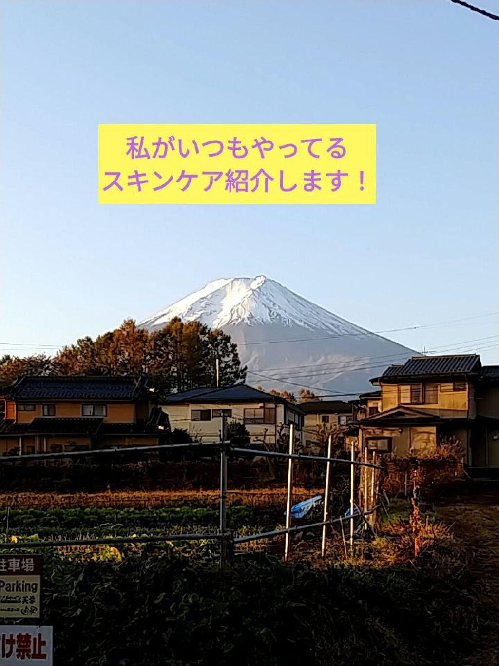 マシュマロホイップ モイスチャー/ビオレ/泡洗顔を使ったクチコミ(1枚目)