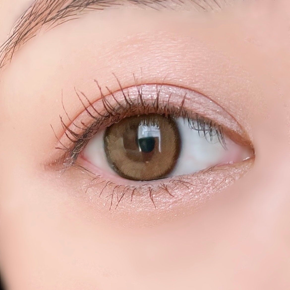 プランぷくコーデアイズ/キャンメイク/パウダーアイシャドウを使ったクチコミ(5枚目)