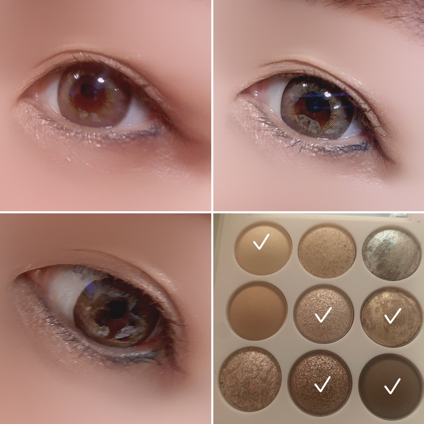 シャドウパレット/dasique/アイシャドウパレットを使ったクチコミ(6枚目)