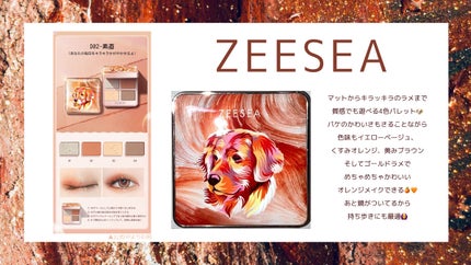 アニマルアイシャドウ(4シェード) D02 素直/ZEESEA/アイシャドウパレットを使ったクチコミ(2枚目)