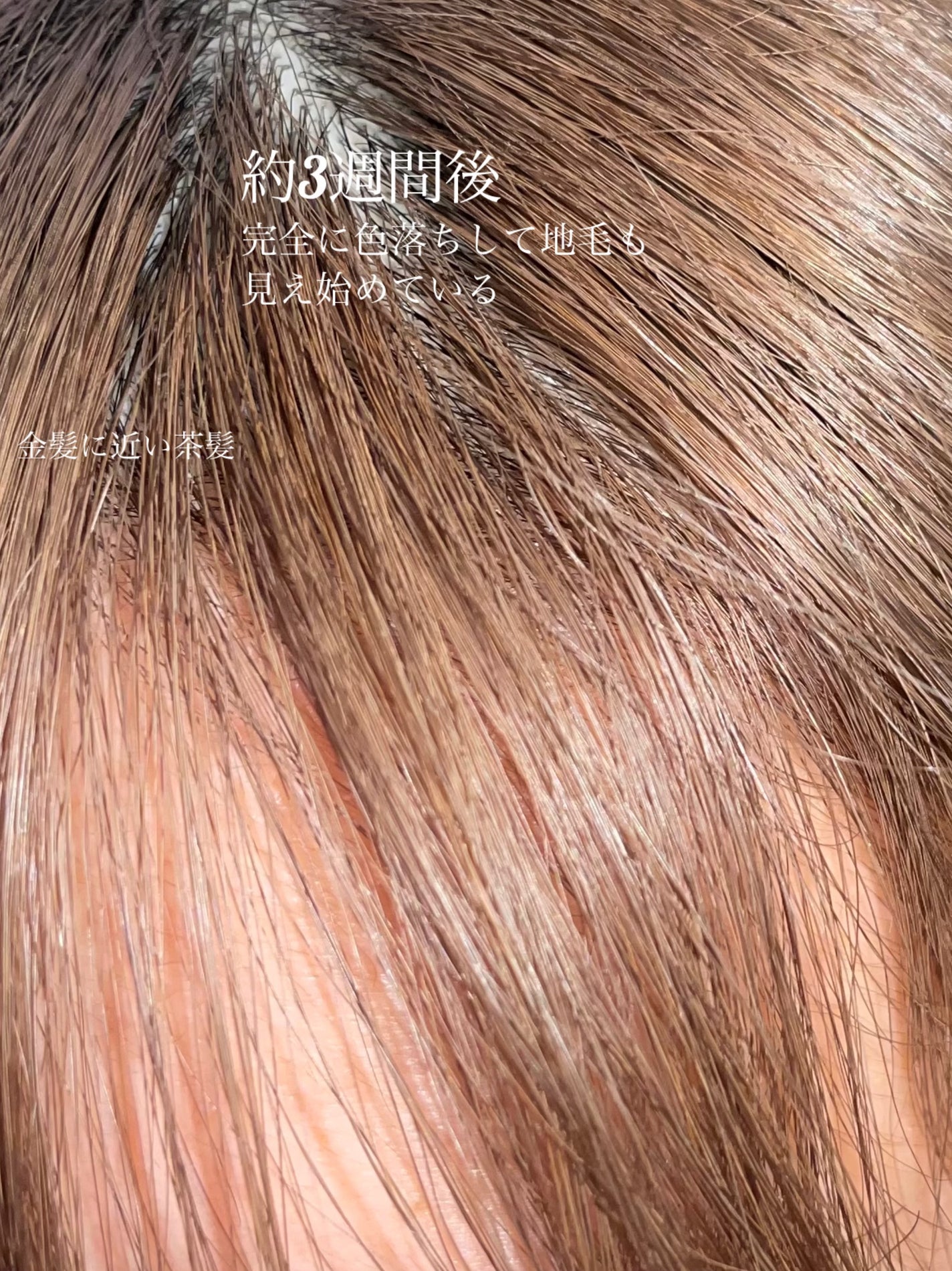 エッセンスインヘアミルク/オルビス/ヘアミルクを使ったクチコミ(5枚目)