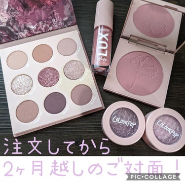 Making Mauves Collection/ColourPop/アイシャドウパレットを使ったクチコミ（1枚目）