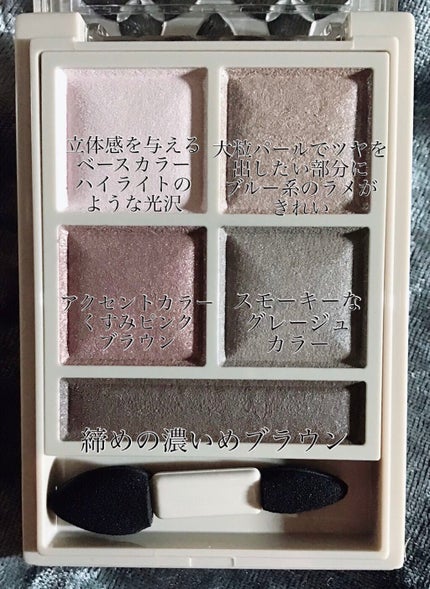 パノラマデザイン アイパレット/Visée/アイシャドウパレットを使ったクチコミ(2枚目)