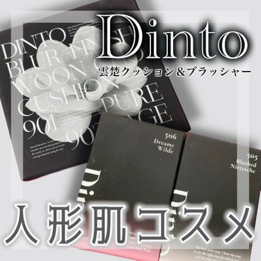 Dinto ブラー フィニッシュ マットクッションファンデーション/Dinto/クッションファンデーションを使ったクチコミ（1枚目）