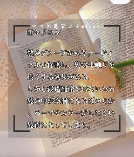 ãã£ãŒãã¢ã€ã¹ã ã·ã£ã³ããŒ1.0ïŒãã¢ããªãŒãã¡ã³ã2.0/&honey/åžè²©ã·ã£ã³ããŒã䜿ã£ãã¯ãã³ãïŒ5æç®ïŒ