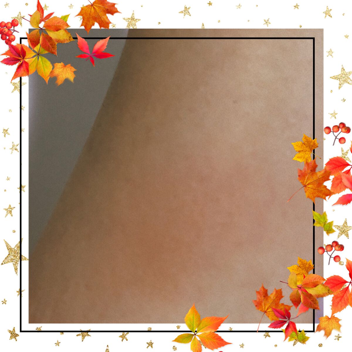 ピュア カラー ブラッシュ/SUQQU/パウダーチークを使ったクチコミ(2枚目)