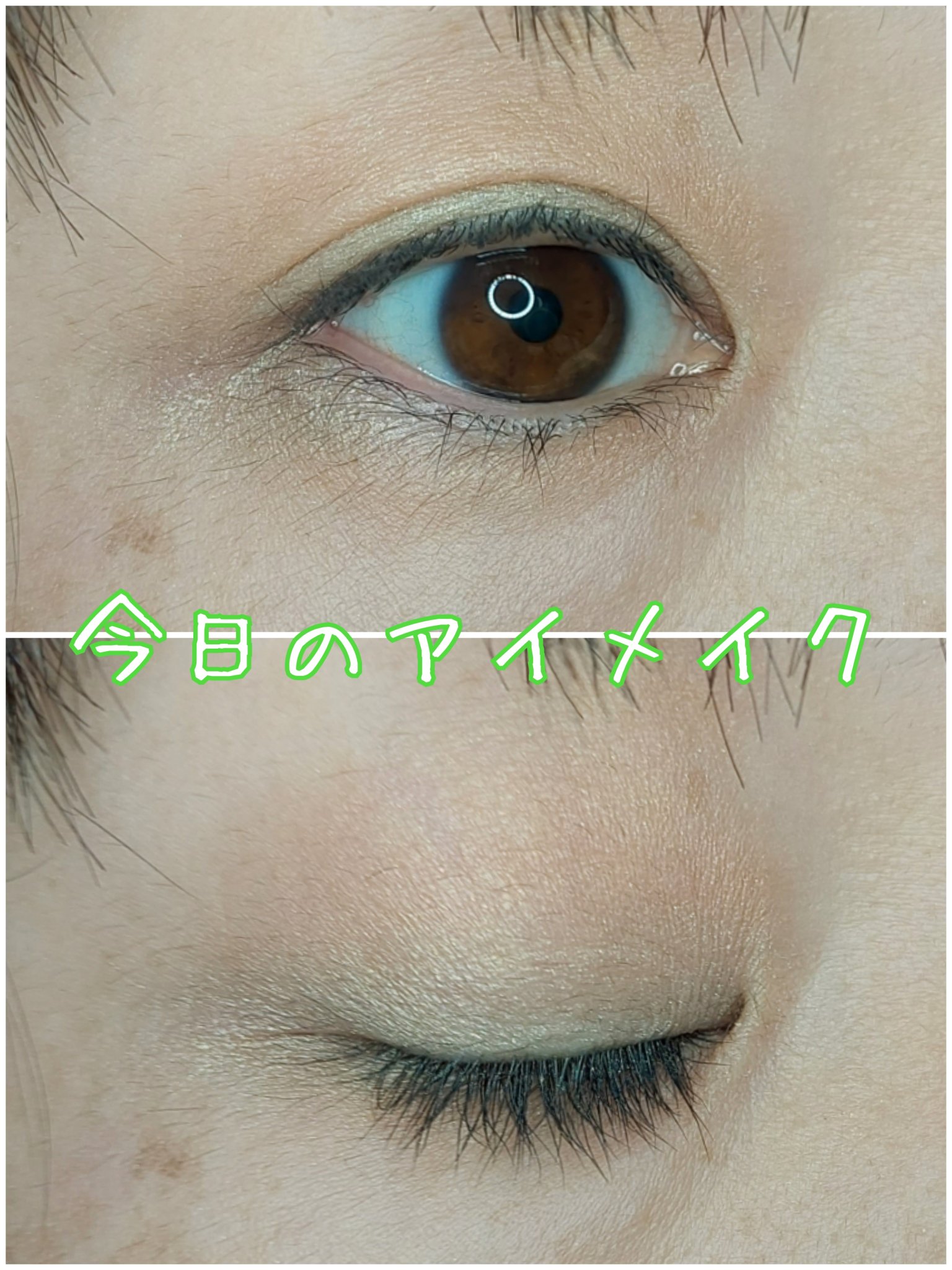 ディーセント アイカラー/アザレ化粧品(アザレプロダクツ)/アイシャドウパレットを使ったクチコミ（1枚目）