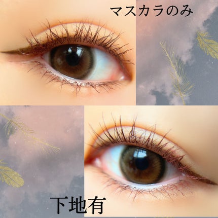 ラッシュエキスパンダー ロングロングロング EX/MAJOLICA MAJORCA/マスカラを使ったクチコミ(5枚目)