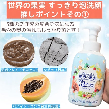 世界の果実 すっきり泡洗顔/世界の果実/泡洗顔を使ったクチコミ(6枚目)