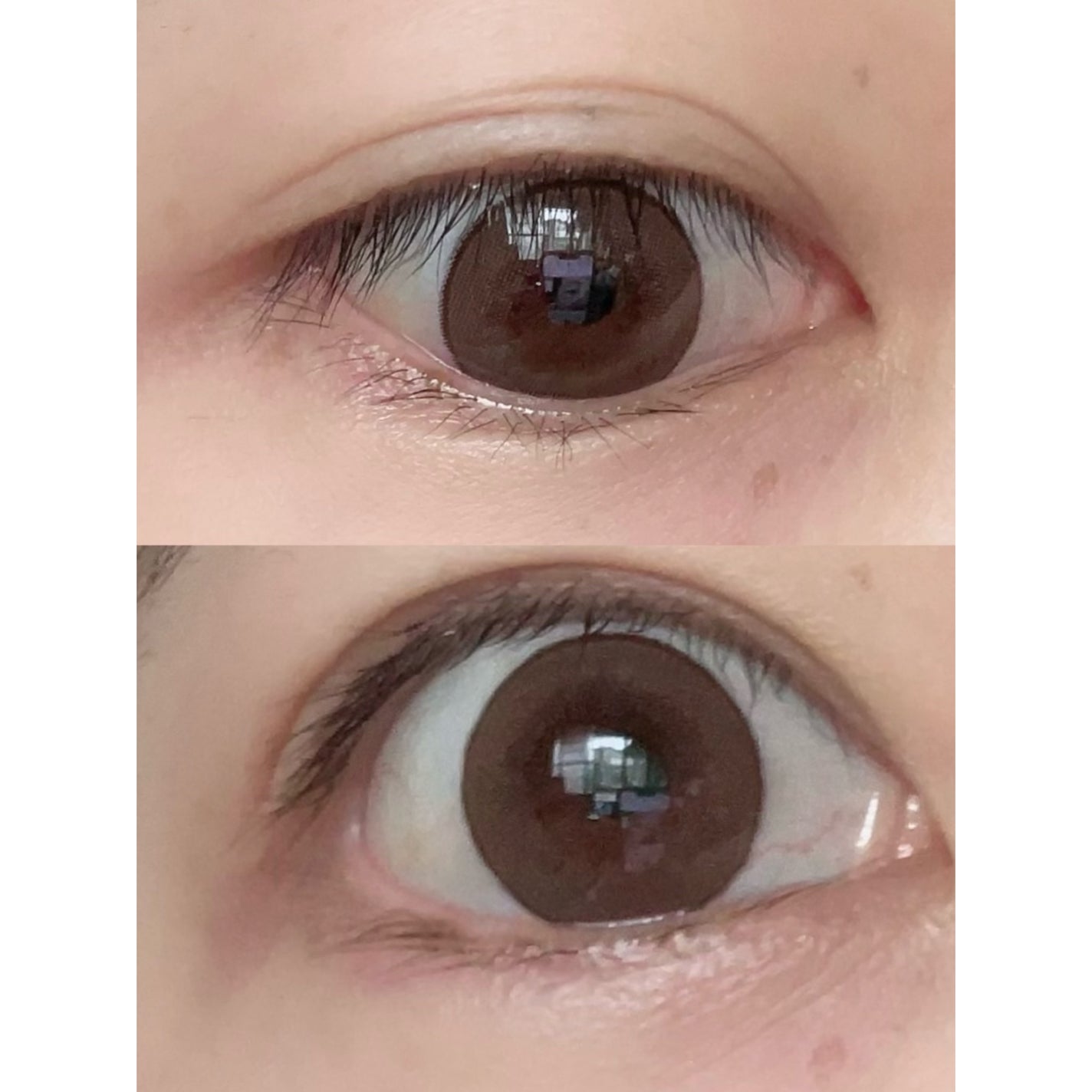 feliamo 1day/feliamo/ワンデー(1DAY)カラコンを使ったクチコミ(3枚目)