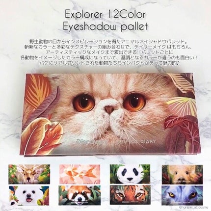 エクスプローラ12色 動物アイシャドウパレット/PERFECT DIARY/アイシャドウパレットを使ったクチコミ(3枚目)