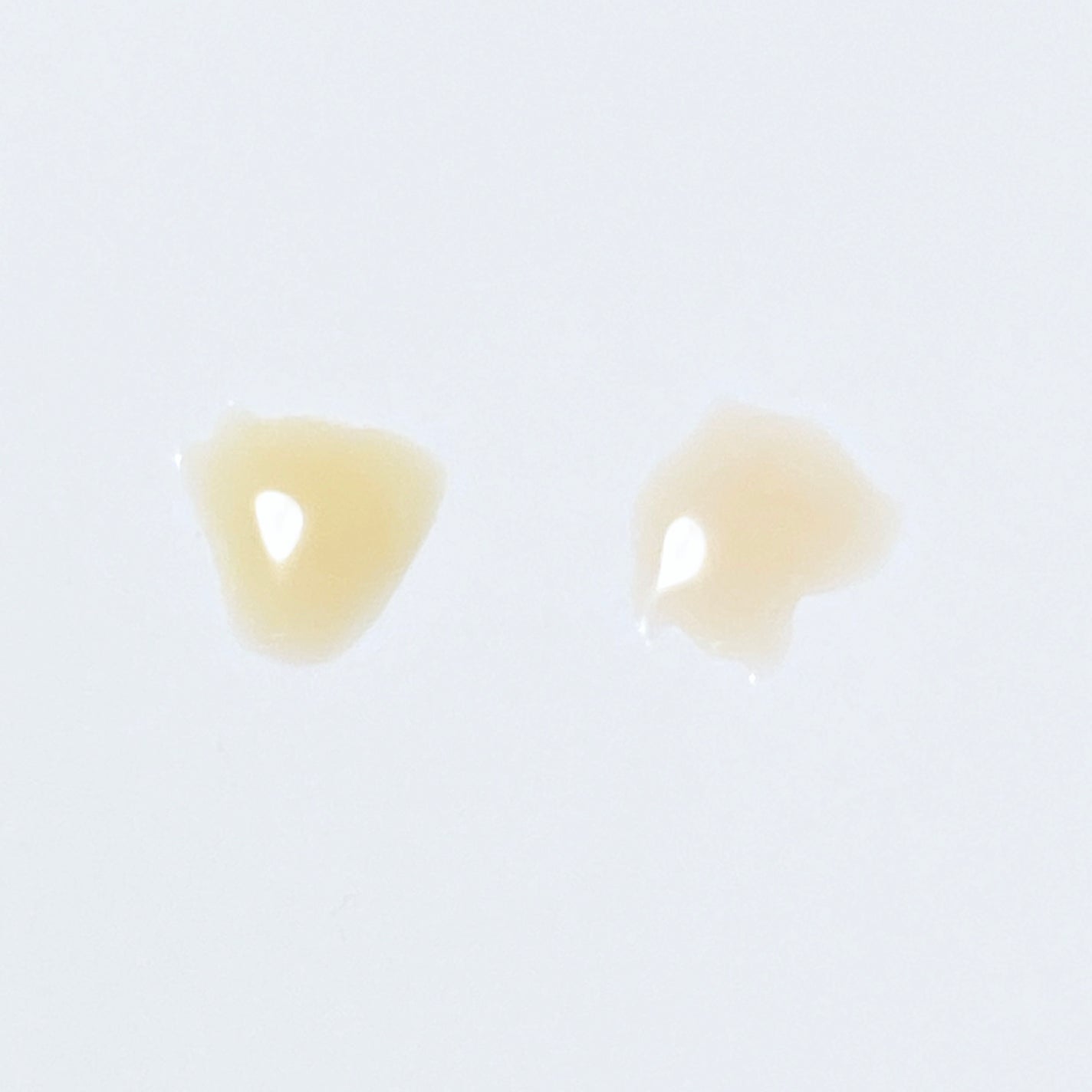 パル カラージェル/キャンドゥ/ジェルネイルを使ったクチコミ(2枚目)