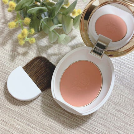 パウダーブラッシュ 13 The (テ)/レ・メルヴェイユーズ ラデュレ/パウダーチークの画像