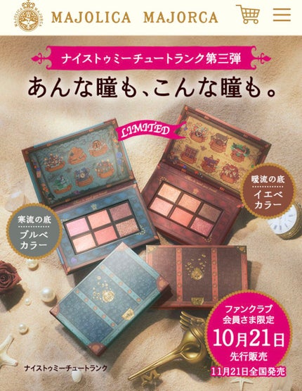 ナイストゥミーチュートランク/MAJOLICA MAJORCA/アイシャドウパレットを使ったクチコミ(3枚目)