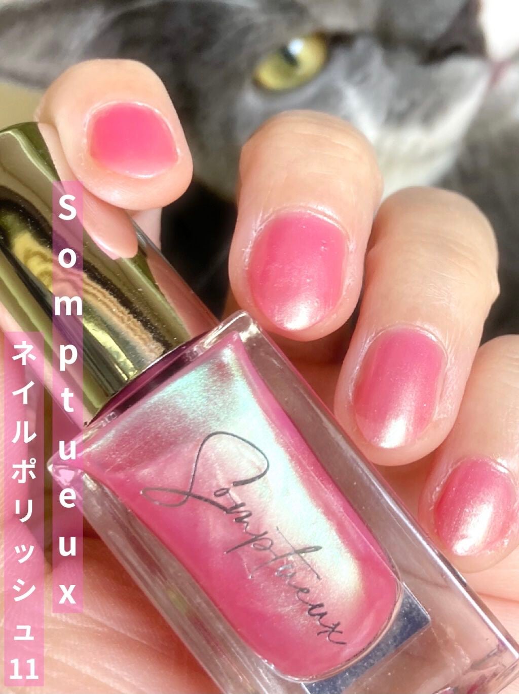 Somptueux(ソンプチュー) ネイルポリッシュ/DAISO/マニキュアを使ったクチコミ(1枚目)
