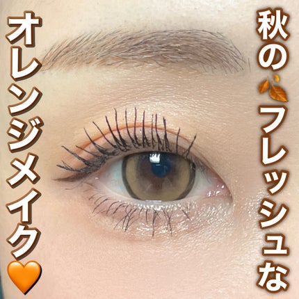 ソフトブラーリングアイパレット/wakemake/アイシャドウパレットを使ったクチコミ(1枚目)