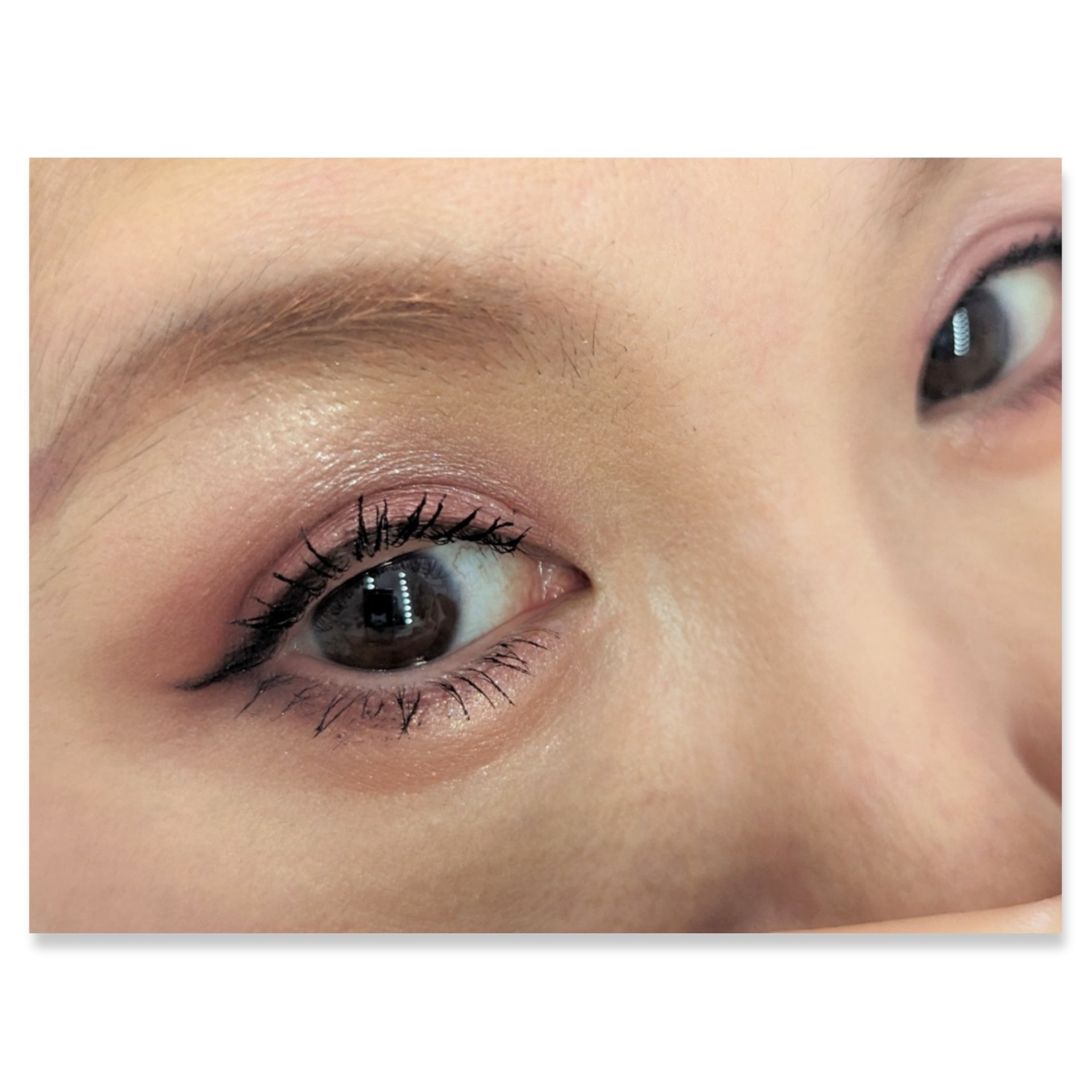 パーフェクトスタイリストアイズ 14 アンティークルビー/キャンメイク/アイシャドウパレットを使ったクチコミ（2枚目）