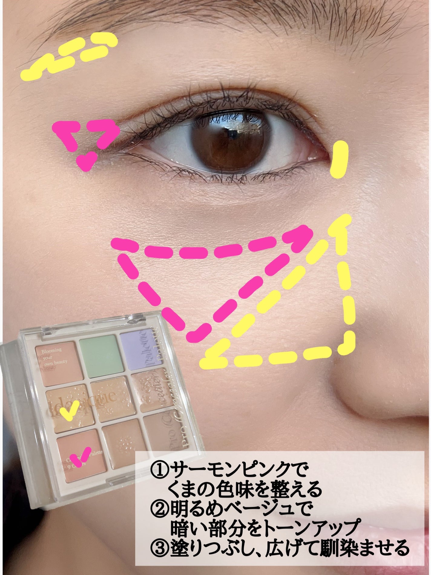 プロコンシーラーパレット/dasique/パレットコンシーラーを使ったクチコミ(3枚目)