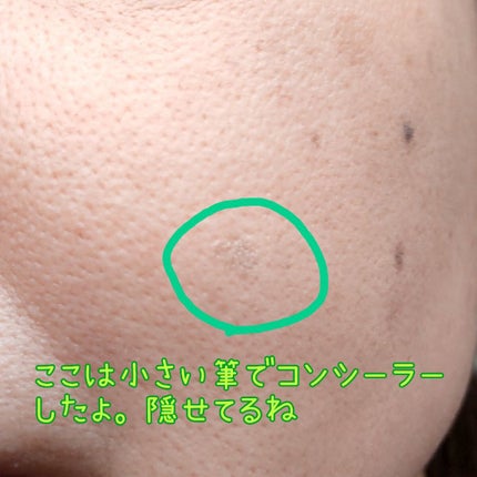 ダブルエンドコンシーラーブラシ/ロージーローザ/メイクブラシを使ったクチコミ(4枚目)