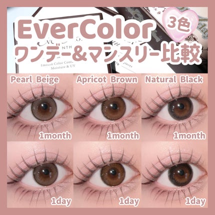 エバーカラーワンデー ナチュラル/エバーカラー/ワンデー(1DAY)カラコンを使ったクチコミ(1枚目)