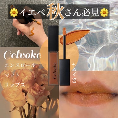 エンスロール マット リップス 06 ヘンナ/Celvoke/口紅を使ったクチコミ（1枚目）