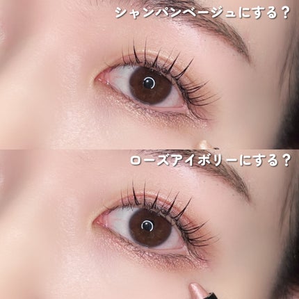 パーフェクトマルチアイズ/キャンメイク/アイシャドウパレットを使ったクチコミ(6枚目)