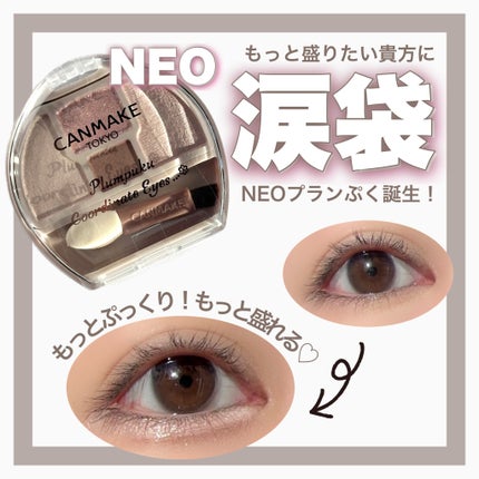 プランぷくコーデアイズNeo/キャンメイク/アイシャドウを使ったクチコミ(1枚目)