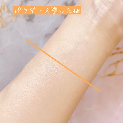 ルースパウダー<テカリ防止タイプ>/Moist Labo/ルースパウダーを使ったクチコミ(4枚目)