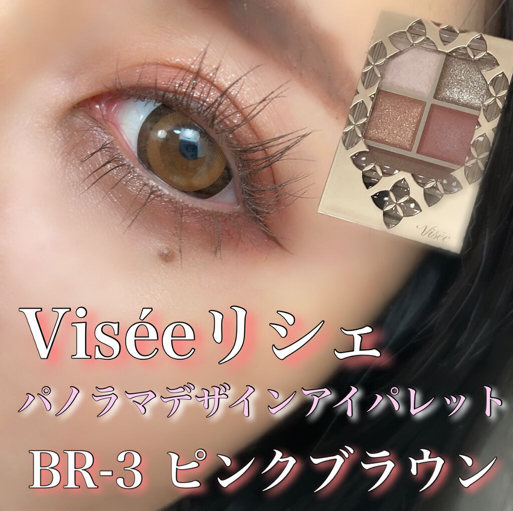 パノラマデザイン アイパレット/Visée/アイシャドウパレットを使ったクチコミ（1枚目）