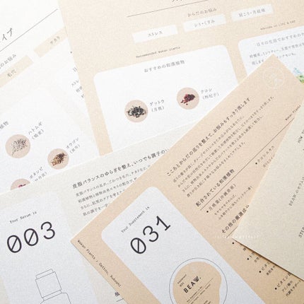 スターターBOX/BEAW./スキンケアキットを使ったクチコミ(3枚目)