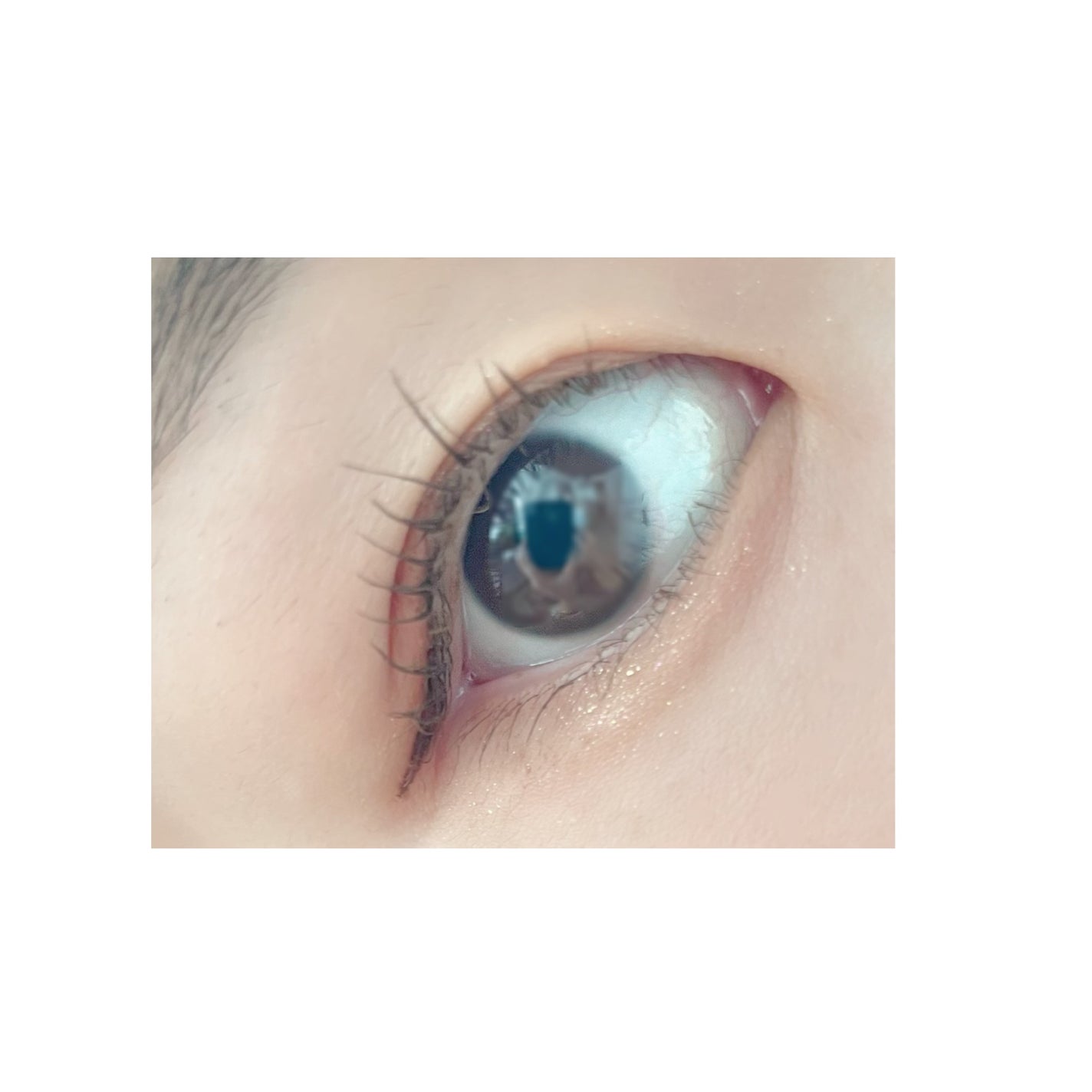 キングダム 束感カールマスカラ/キングダム/マスカラを使ったクチコミ(3枚目)