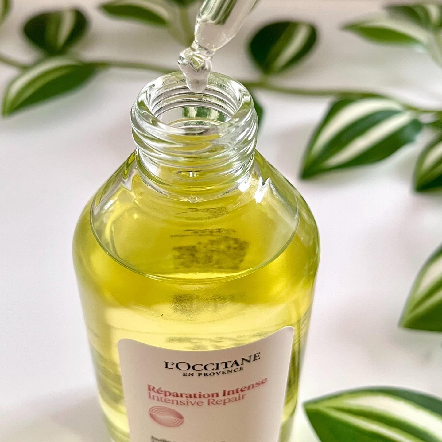 インテンシヴリペア ヘアオイル 100mL/L'OCCITANE/ヘアオイルを使ったクチコミ（3枚目）