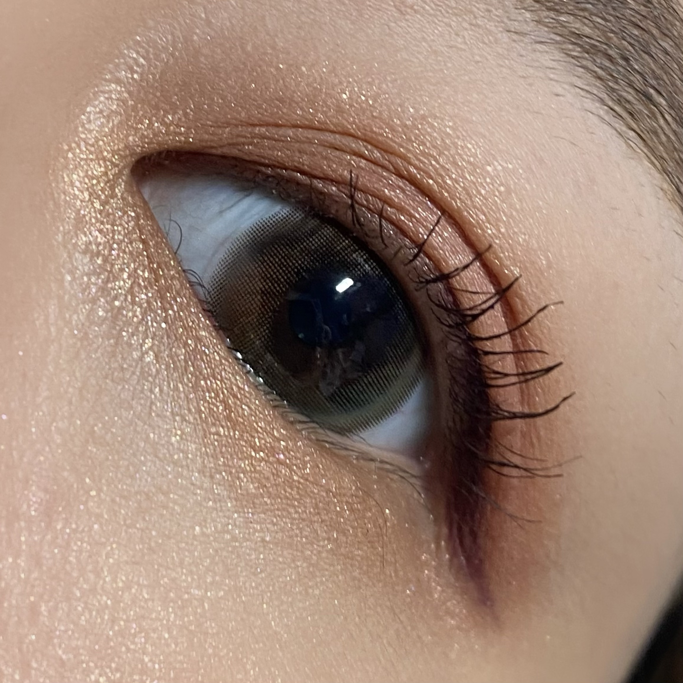 フュージングカラーパレット/LUNASOL/アイシャドウパレットを使ったクチコミ（3枚目）