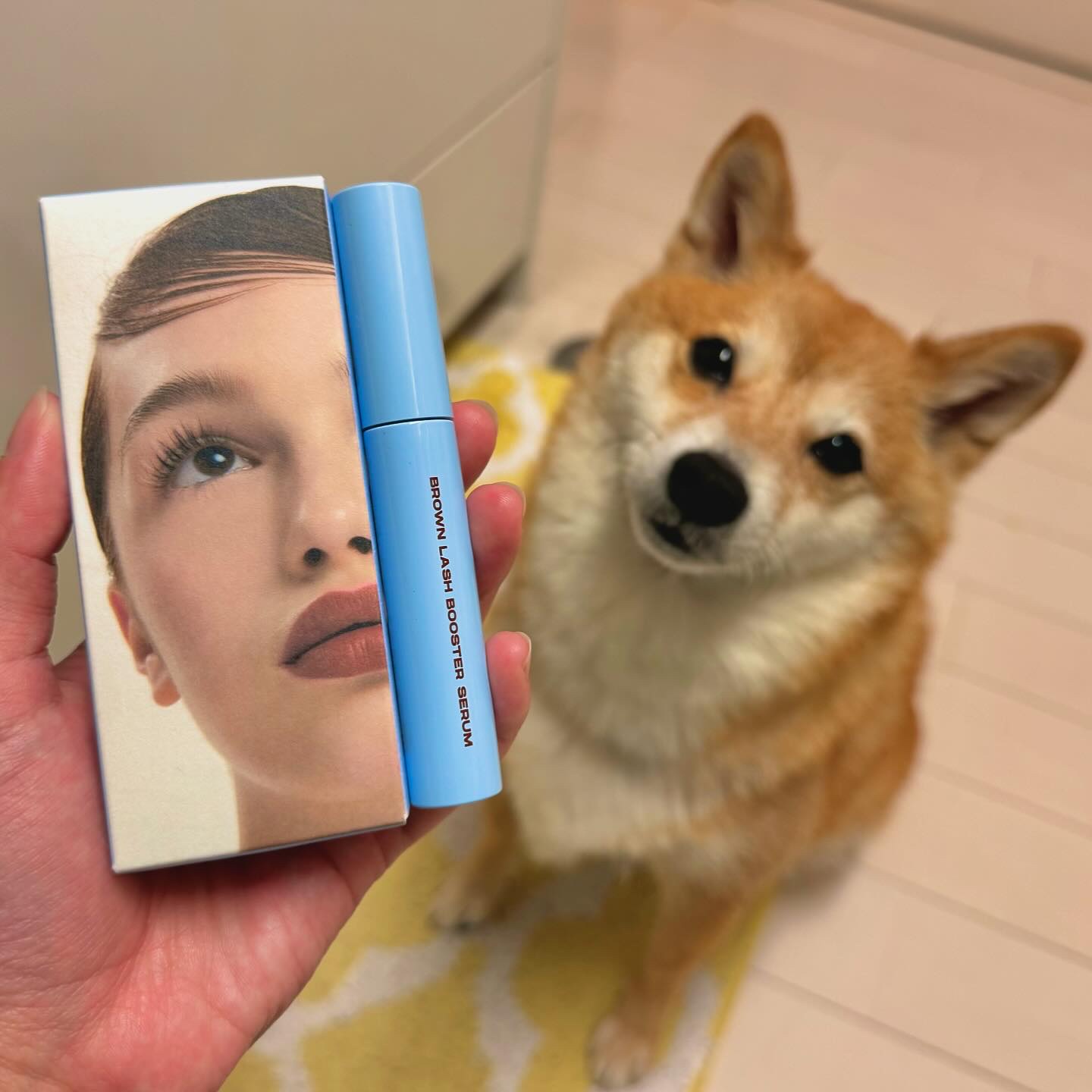 ENTROPY(エントロピー)様からアイラッシュセラムを頂いたので紹介するよ👀✨

✅ブロウアンドラッシュブースターセラム
まつ毛のケアをしながらメイクもできる優れもの！
まつ毛美容液なんだけどナチュラルなマスカラ効果もあるんです💡
ボ