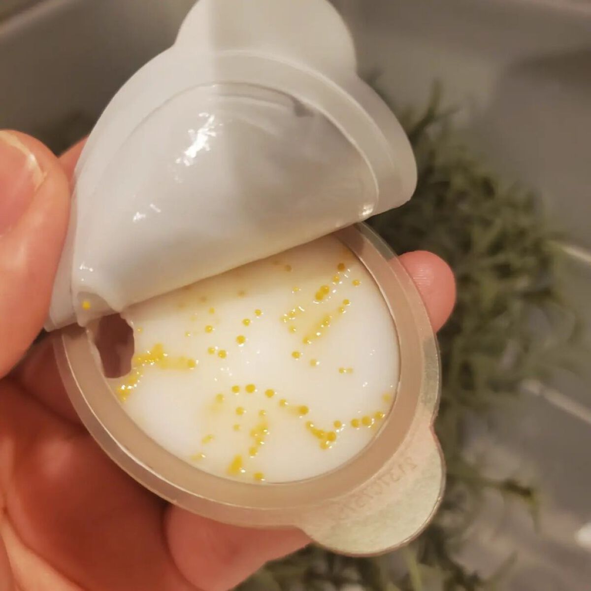 を使ったクチコミ（3枚目）