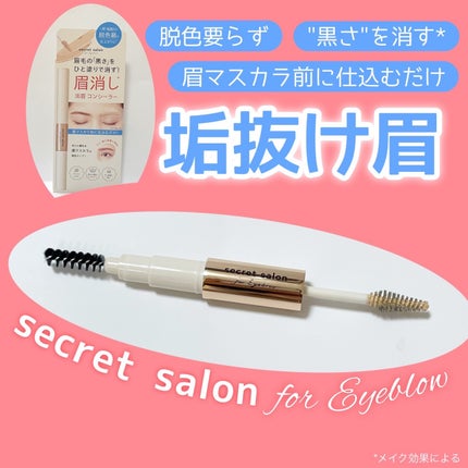 淡眉コンシーラー/シークレットサロン/眉マスカラを使ったクチコミ(1枚目)