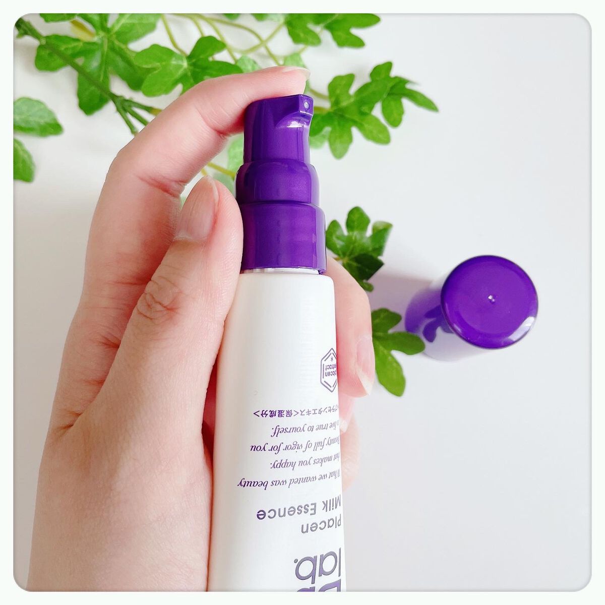 プラセンミルクエッセンス/Bb lab./美容液を使ったクチコミ(4枚目)