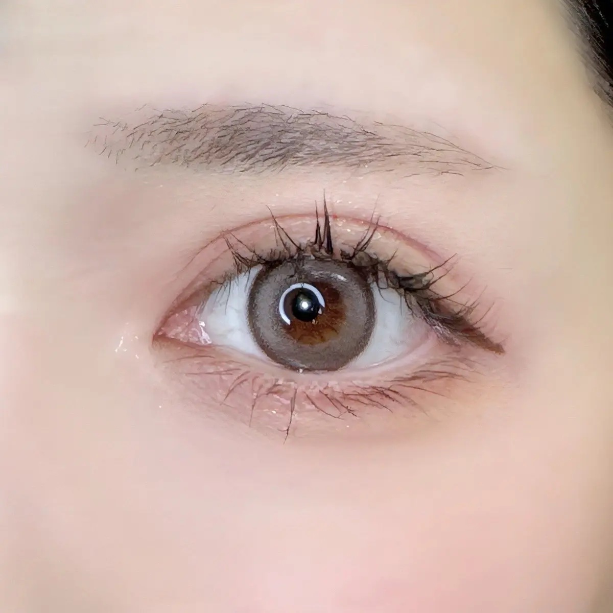 オッドアイズ 1day/ザピエル/カラーコンタクトレンズを使ったクチコミ（2枚目）