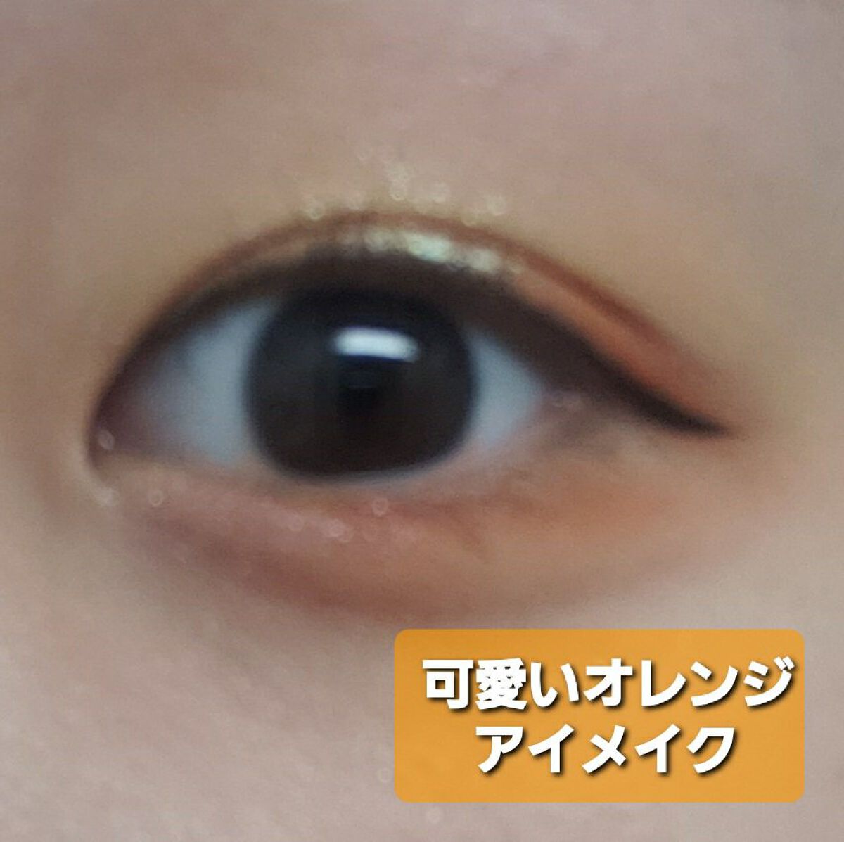 ラスティングマルチアイベース WP/キャンメイク/アイシャドウベースを使ったクチコミ（1枚目）