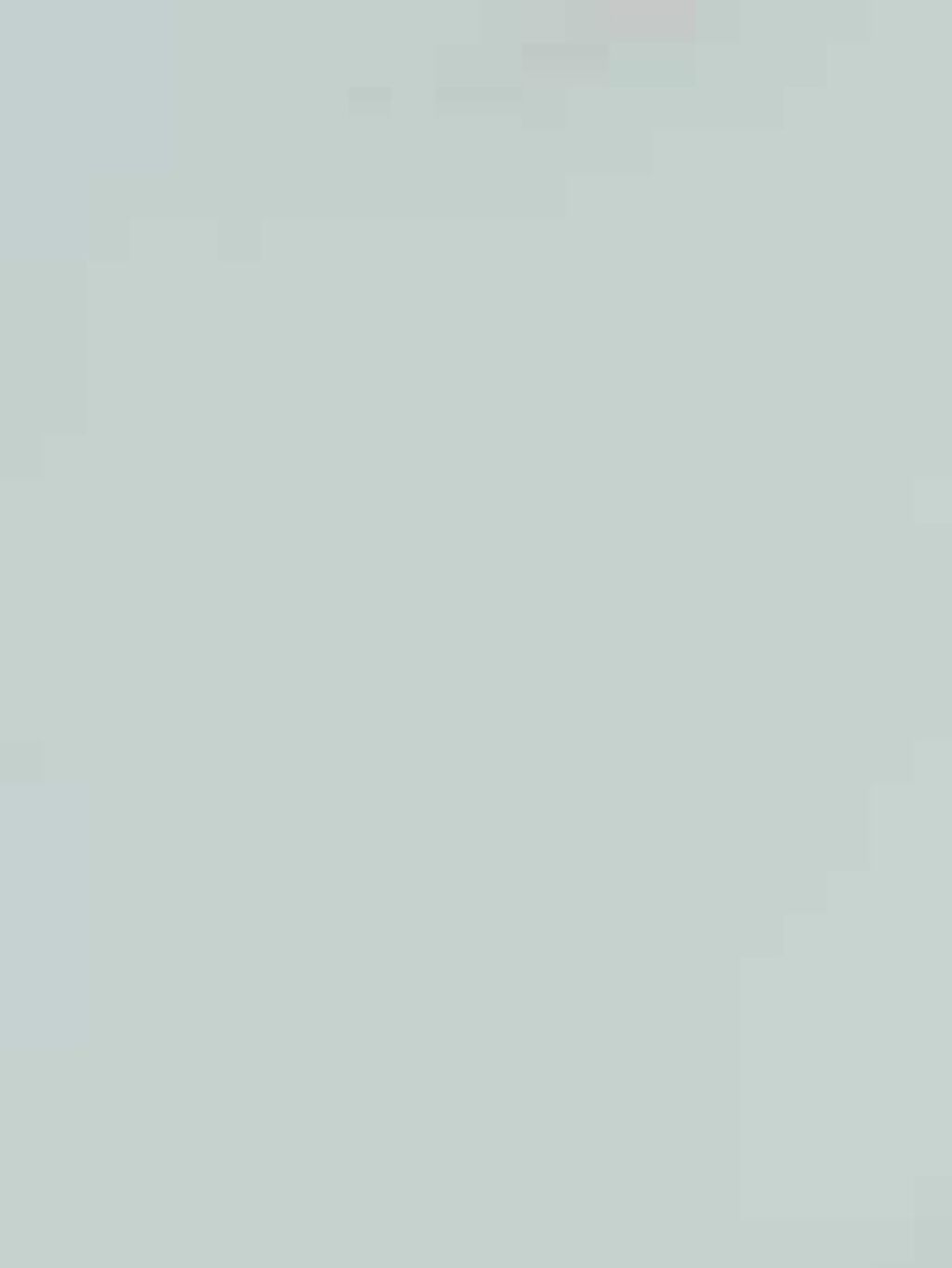 メイクブラシ専用クリーナー/DAISO/その他化粧小物を使ったクチコミ(3枚目)