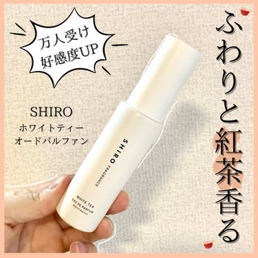 SHIRO ホワイトティー オードパルファンのクチコミ「【ふわりと紅茶香る】🫖万人受け好感度アップ!!shiroの香水紹介です!!

┈┈┈┈┈┈┈┈.....」（1枚目）