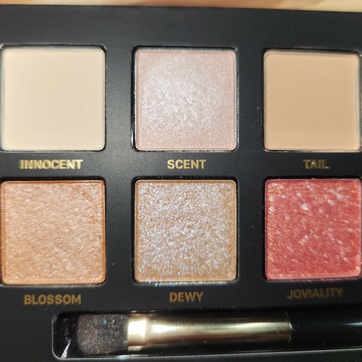 エクスプローラ12色 動物アイシャドウパレット/PERFECT DIARY/アイシャドウパレットを使ったクチコミ（3枚目）