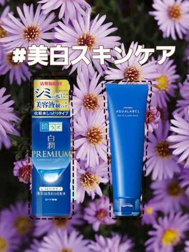 白潤プレミアム薬用浸透美白化粧水/肌ラボ/化粧水を使ったクチコミ（1枚目）