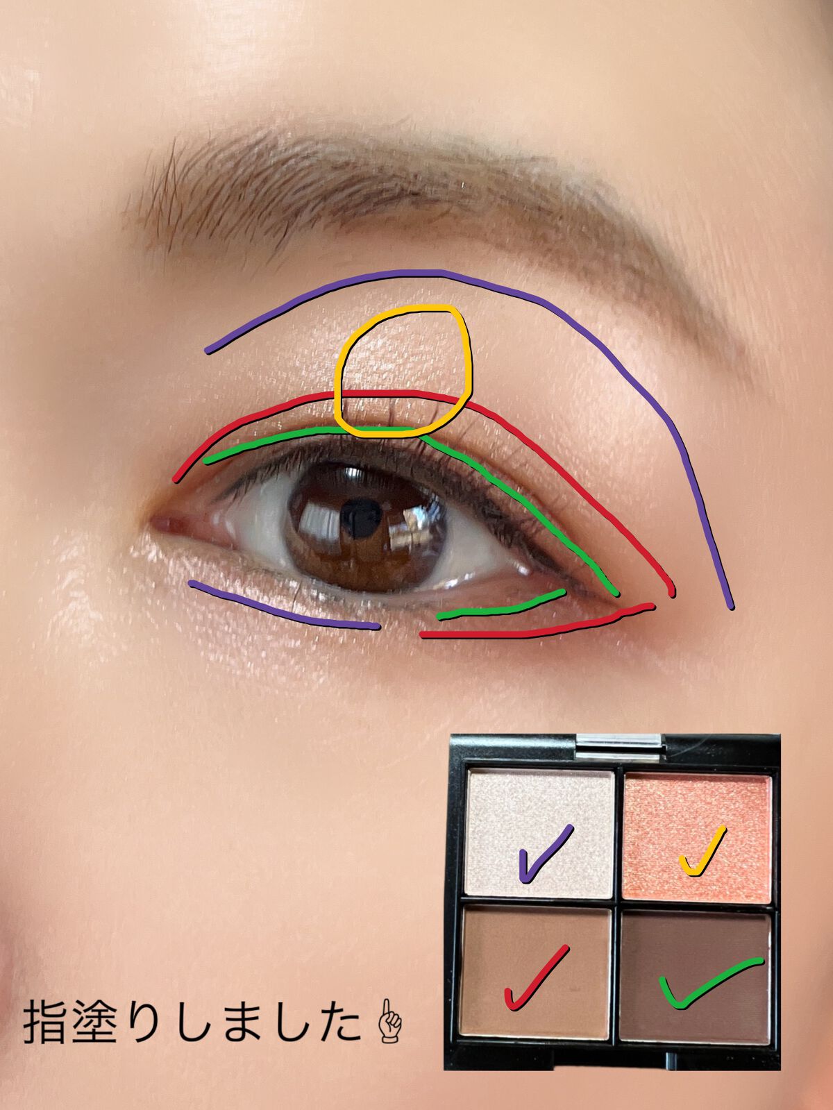 MFL アイシャドウ ブラウン/moitiful/アイシャドウパレットを使ったクチコミ（3枚目）