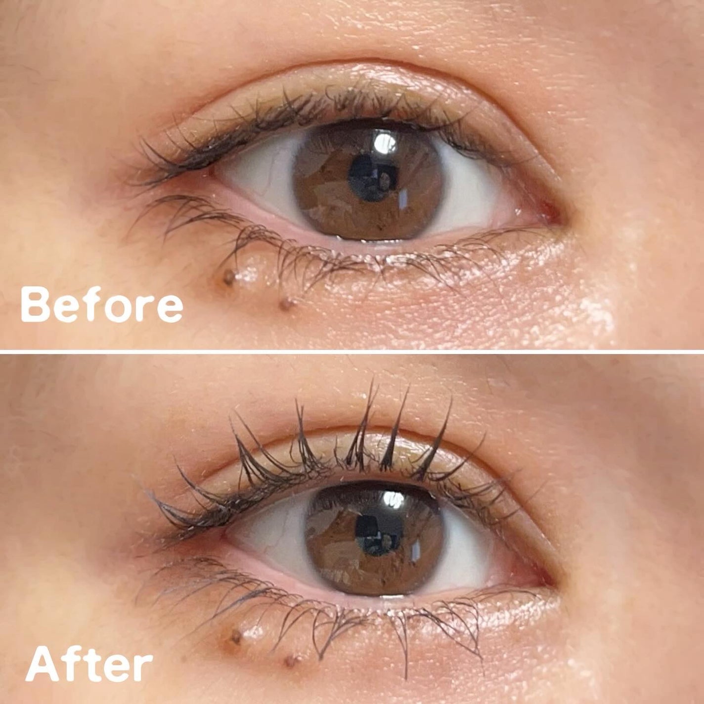 カールロックマスカラベース N/D-UP/マスカラ下地を使ったクチコミ(2枚目)