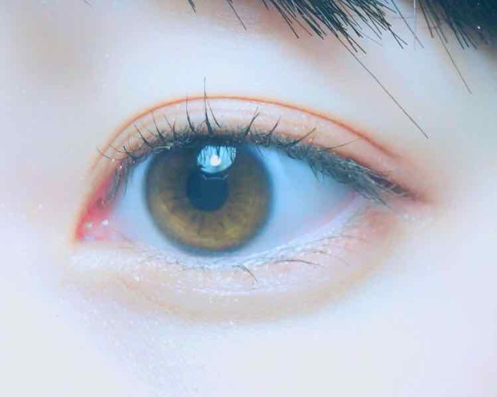 クイックラッシュカーラー/キャンメイク/マスカラ下地を使ったクチコミ(2枚目)